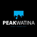 peakwatina montreal business to Chinese community